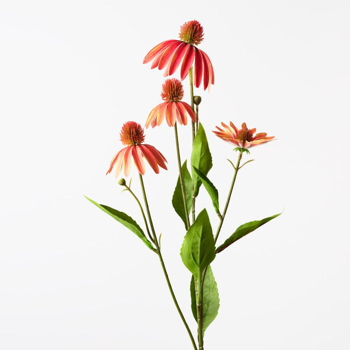 Echinacea Spray Orange 76cm Pack of 12