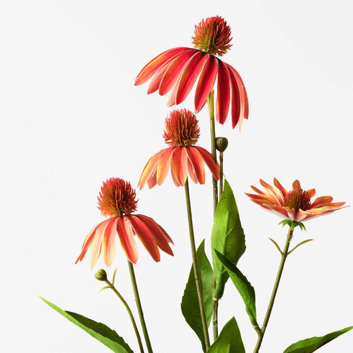 Echinacea Spray Orange 76cm Pack of 12