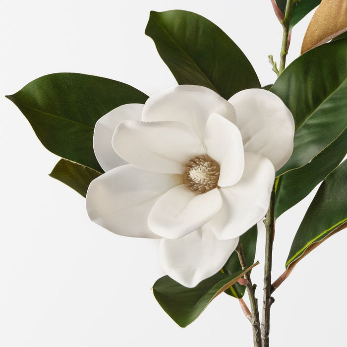 Magnolia Tree Spray White 73cm Pack of 12