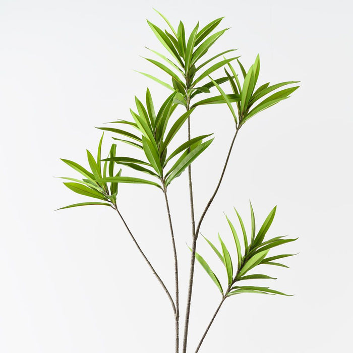 Dracaena Leaf Spray Green 180cm Pack of 6