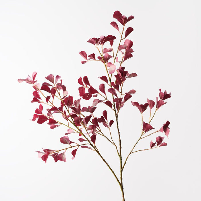 Ficus Triangle Spray Burgundy 116cm Pack of 12