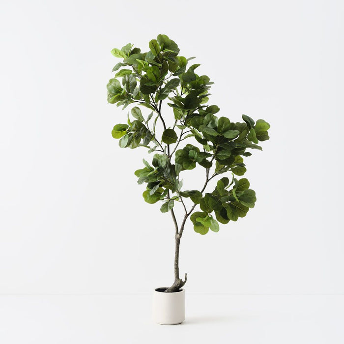 Fiddle Leaf Tree Green 160cm
