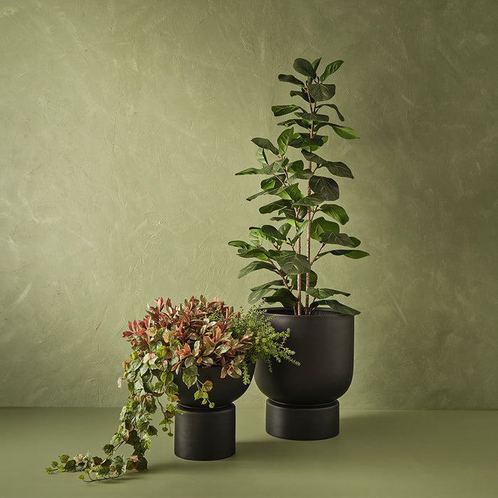 Fiddle Leaf Tree Green 185cm Pack of 2