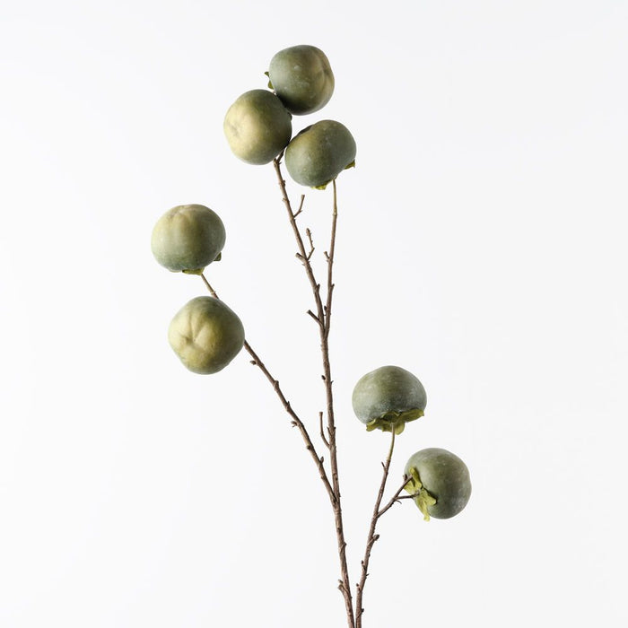 Persimmon Spray Green 100cm Pack of 6