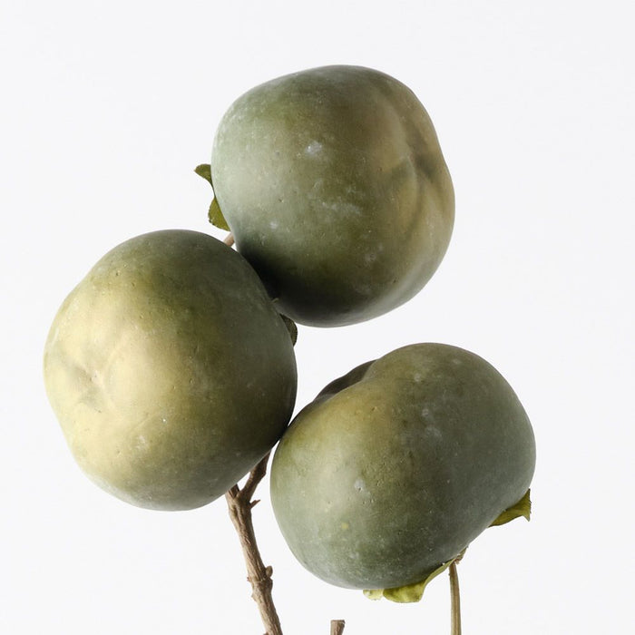 Persimmon Spray Green 100cm Pack of 6