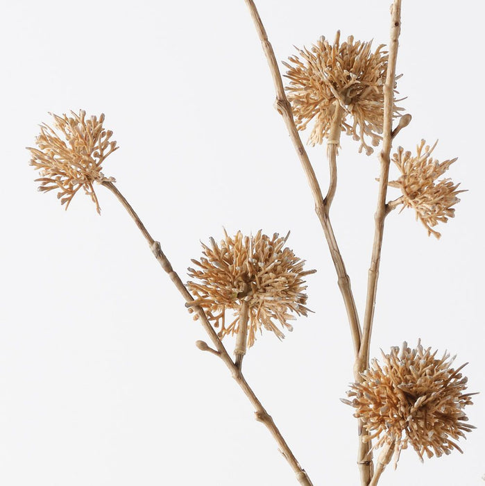 Chestnut Spray Sand 115cm Pack of 12