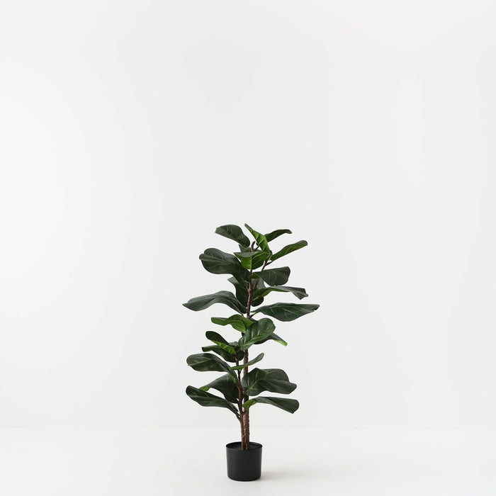Fiddle Leaf Tree Green 105cm Pack of 2