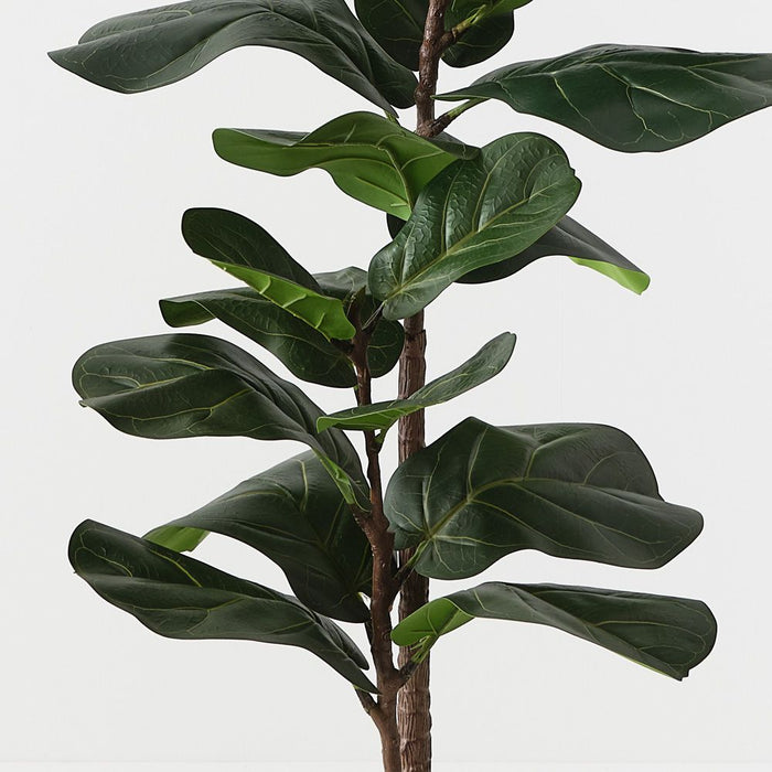 Fiddle Leaf Tree Green 105cm Pack of 2
