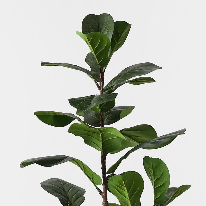 Fiddle Leaf Tree Green 145cm Pack of 2