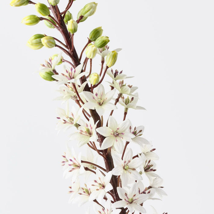 Lily Pineapple White Green 90cm Pack of 6