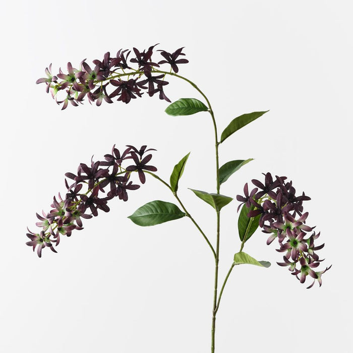 Petrea Queen Spray Dark Purple 120cm Pack of 6