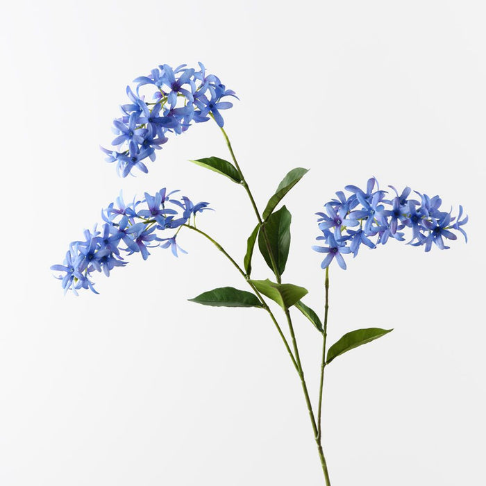 Petrea Queen Spray Royal Blue 120cm Pack of 6