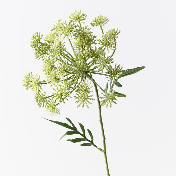 Dill Seed Spray Green 73cm Pack of 12