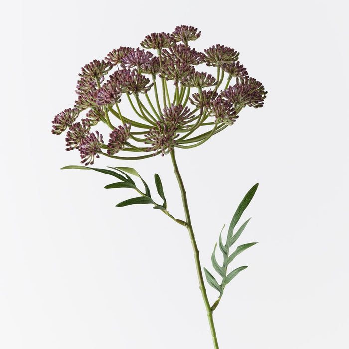 Dill Seed Spray Purple 73cm Pack of 12