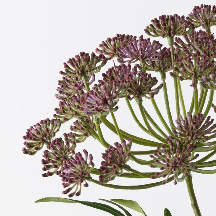 Dill Seed Spray Purple 73cm Pack of 12