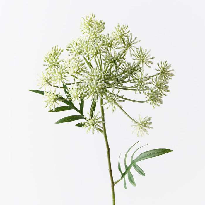 Dill Seed Spray White 73cm Pack of 12