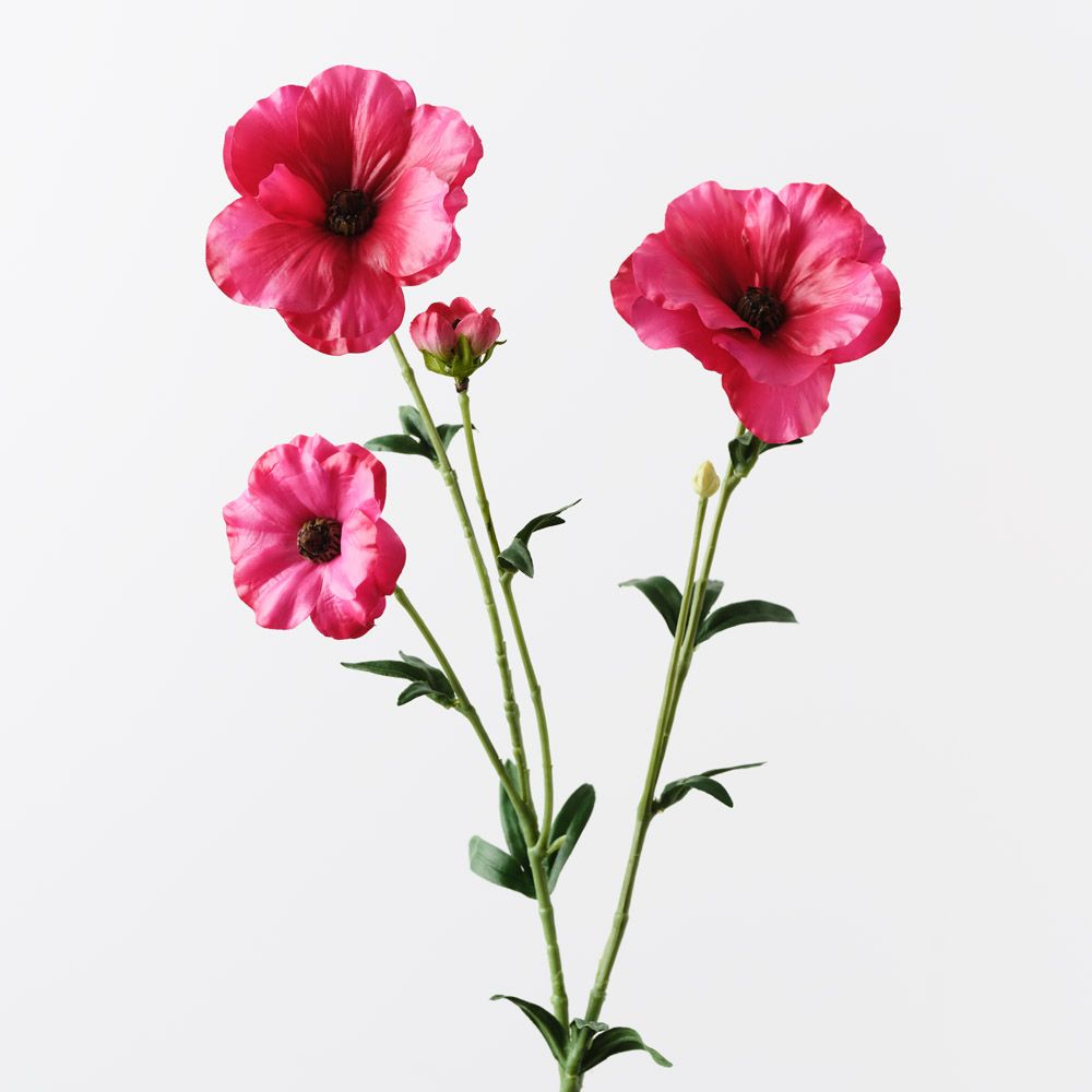 Fuchia Ranunculus Artificial Ranunculus Japanese Spray Fuschia 55cm — Flora Designs Australia
