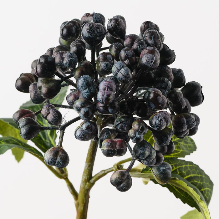 Berry Pick Eggplant Green 29cm Pack of 24