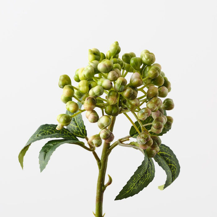 Berry Pick Green Pink 29cm Pack of 24