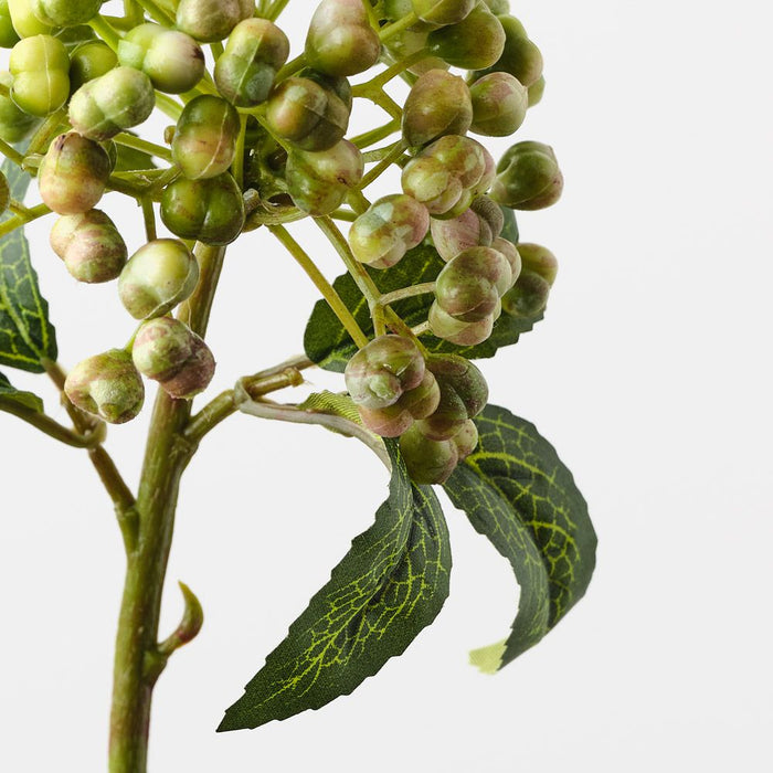 Berry Pick Green Pink 29cm Pack of 24