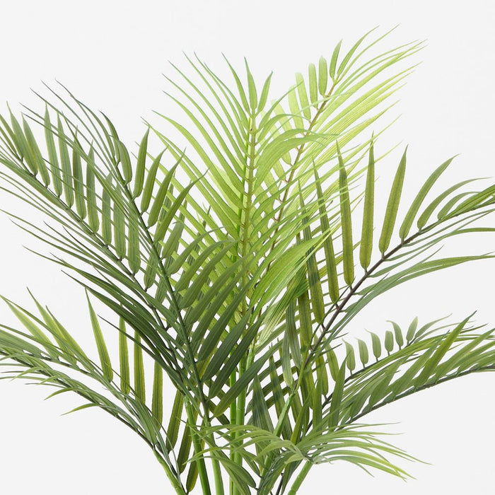 Palm Areca Green 61cm Pack of 2