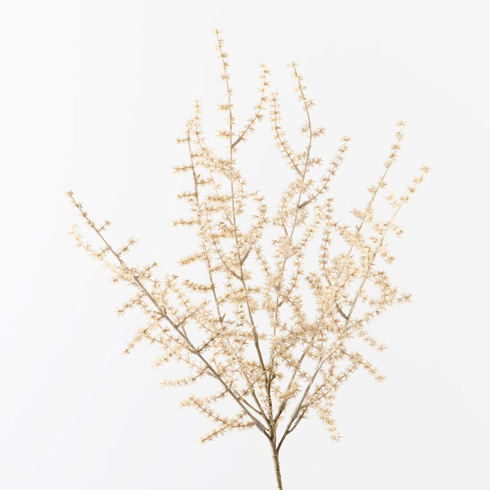 Wild Asparagus Fern Bush Ivory 40cm Pack of 12