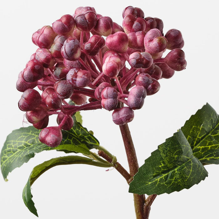 Berry Pick Burgundy 29cm Pack of 24