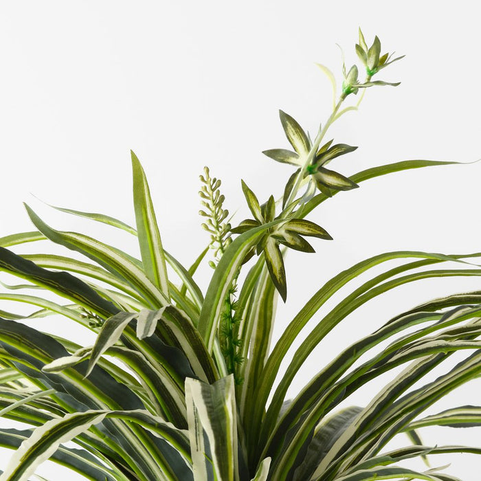 spider plant bush Artificial Spider Plant Bush Green White 90cm — Flora Designs Australia