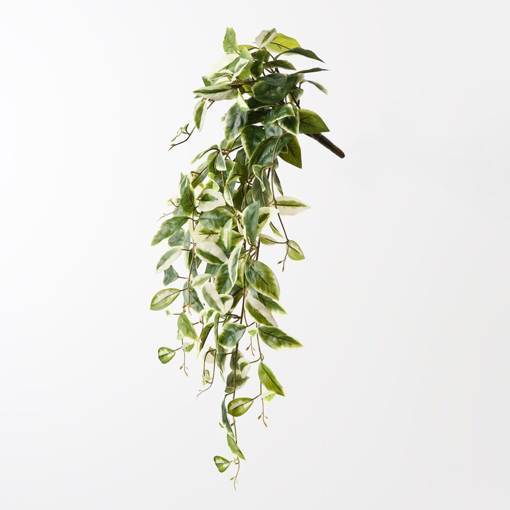 Artificial Hoya Hanging Bush Green White 75cm — Flora Designs Australia