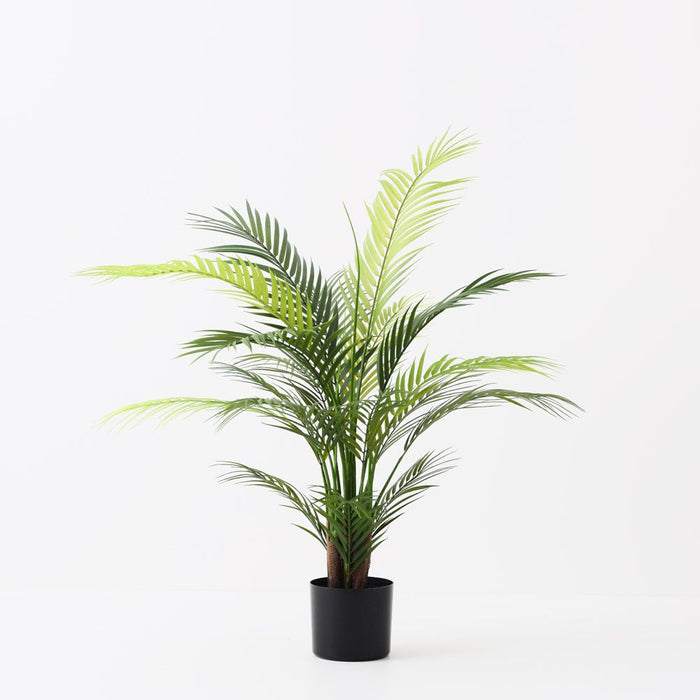 Palm Areca Green 91cm Pack of 2