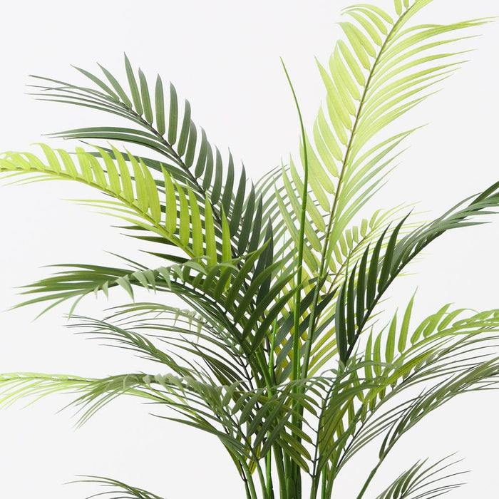 Palm Areca Green 91cm Pack of 2