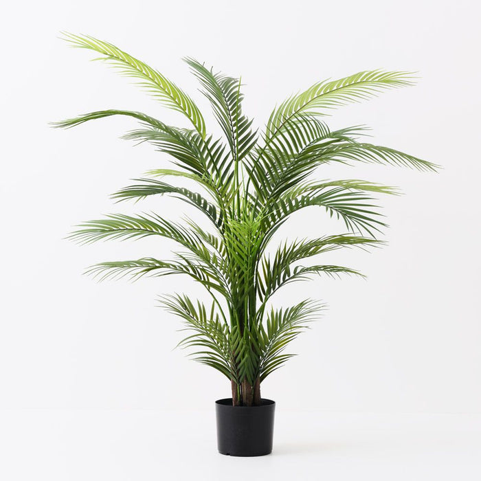 Palm Areca Green 122cm Pack of 2