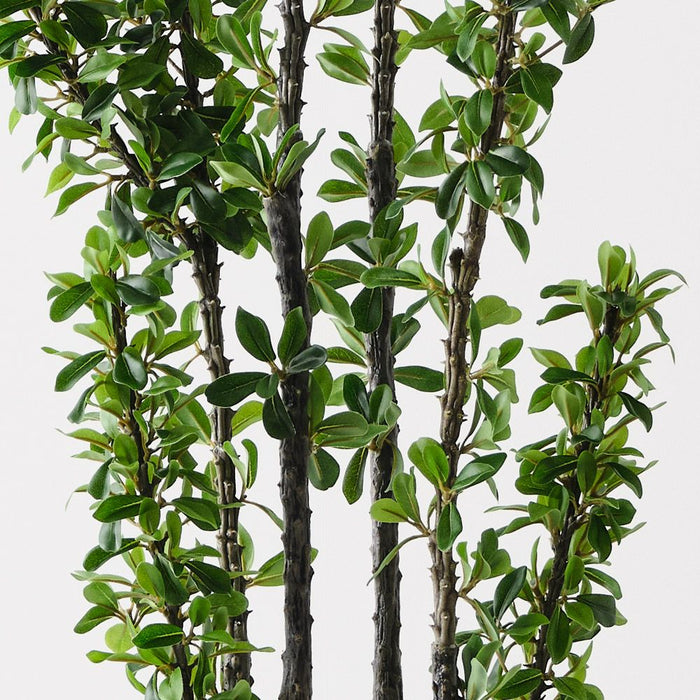 Alhagi Tree Green 183cm Pack of 2