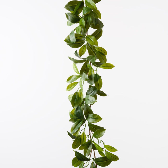 Fagraea Ceilanica Garland Green 180cm Pack of 12