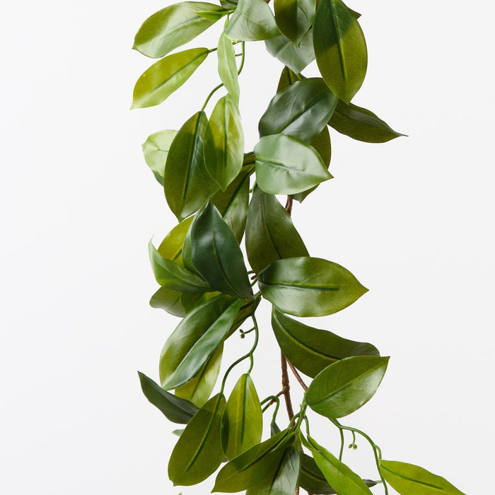 Fagraea Ceilanica Garland Green 180cm Pack of 12