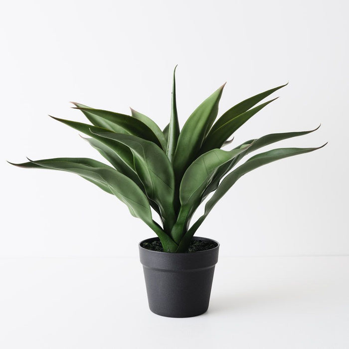 Agave Plant Green 43cm Pack of 2