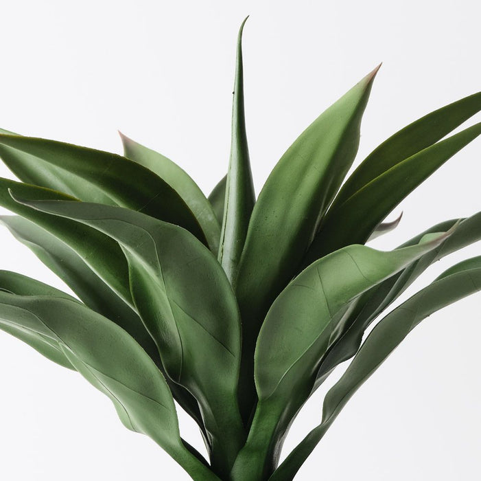 Agave Plant Green 43cm Pack of 2