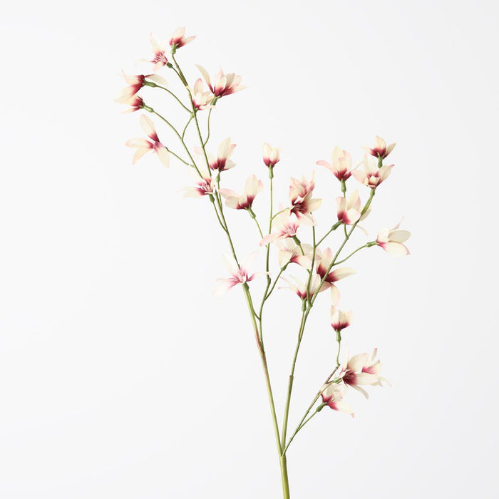 Lily Rain Burgundy Cream 90cm Pack of 6