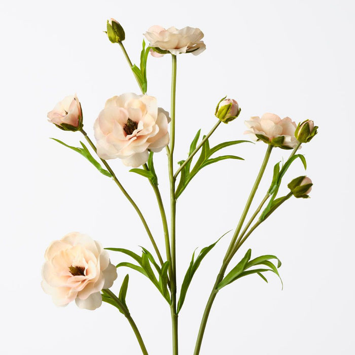 Ranunculus Spray Peach 72cm Pack of 12