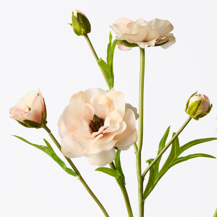 Ranunculus Spray Peach 72cm Pack of 12