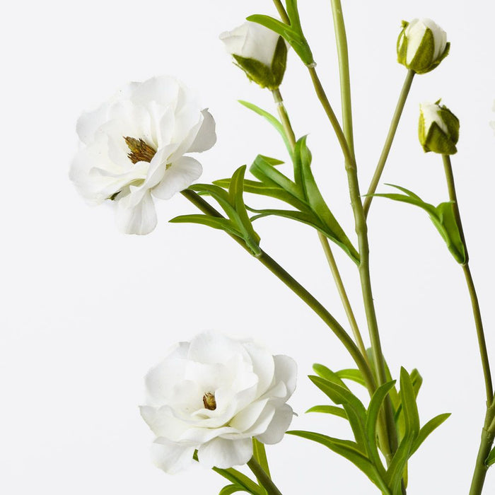 Ranunculus Spray White 72cm Pack of 12