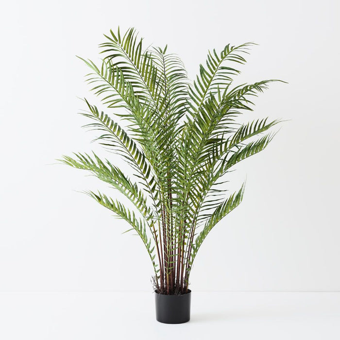 Palm Date Plant Green 127cm Pack of 2