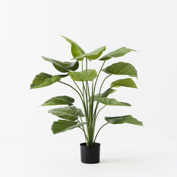 Taro Plant Green 90cm Pack of 2