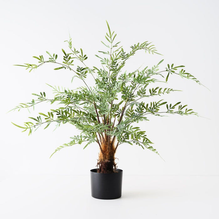 Fern Lydgodium Plant Green 92cm Pack of 2