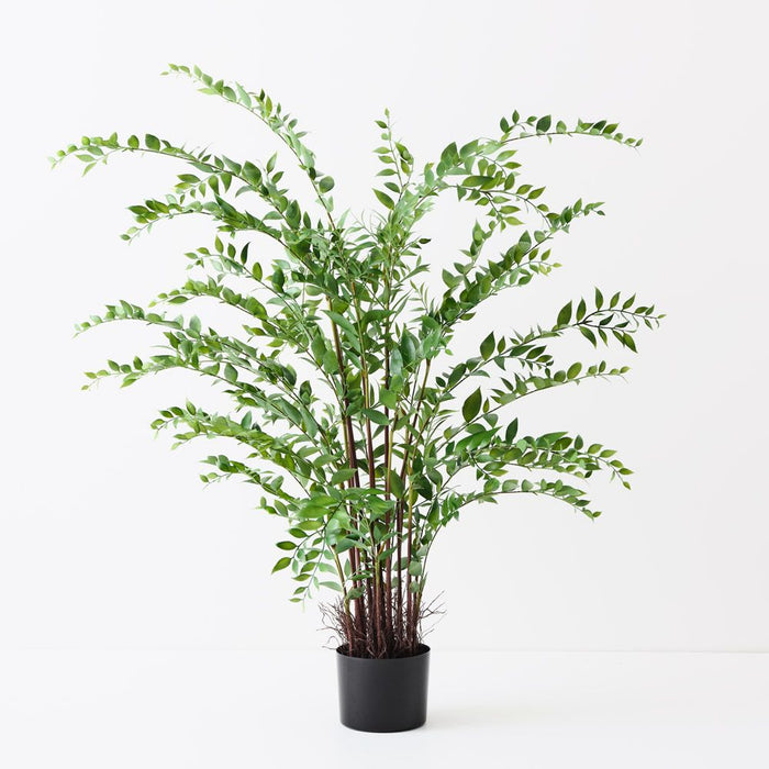 Ruscus Plant Green 122cm Pack of 2