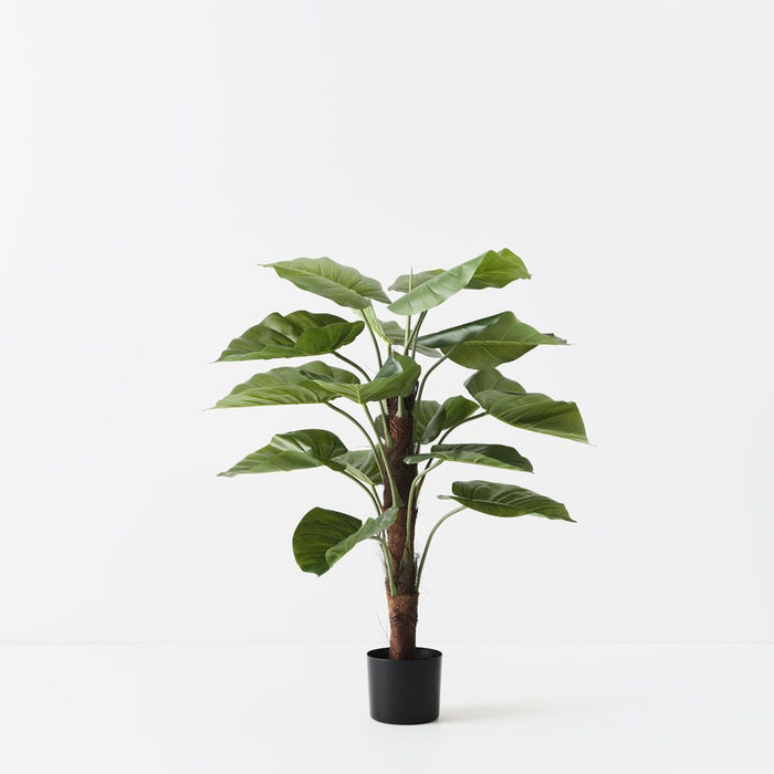 Taro Plant on Pole Green 90cm Pack of 2