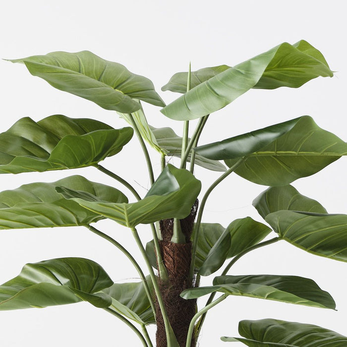 Taro Plant on Pole Green 90cm Pack of 2