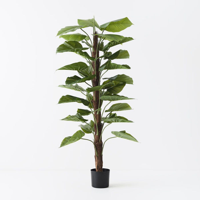 Taro Plant on Pole Green 150cm Pack of 2