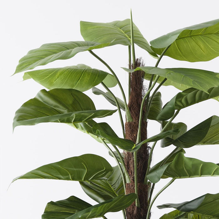 Taro Plant on Pole Green 150cm Pack of 2