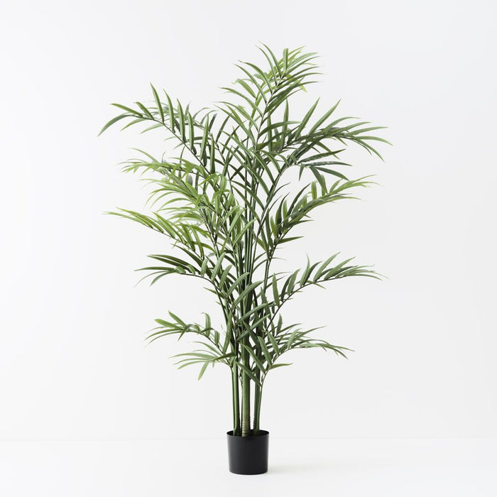 Palm Hawaii Kwai Green 210cm